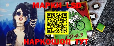 apvp Можга