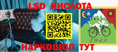 apvp Можга