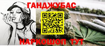 прущие грибы Моздок