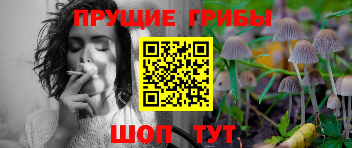 Галлюциногенные грибы прущие грибы Углич
