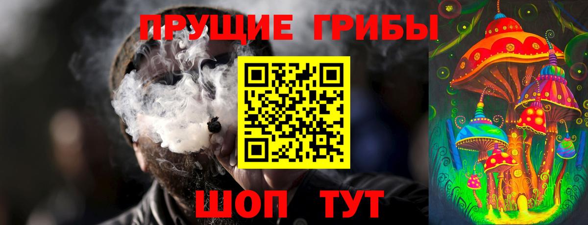Галлюциногенные грибы Magic Shrooms  Галлюциногенные грибы Cubensis  Углич  Вход с VPN 